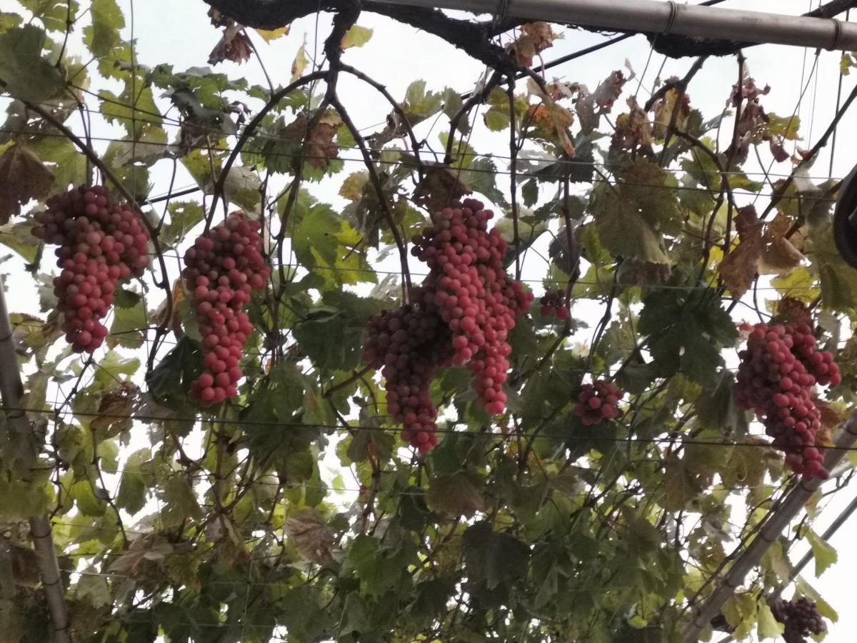 Възрожденски Комплекс Чардакъ Сопот 外观 照片